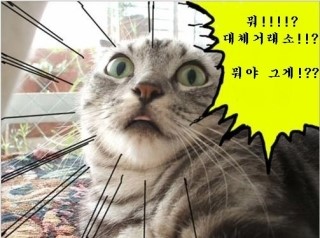미래ATS 이미지