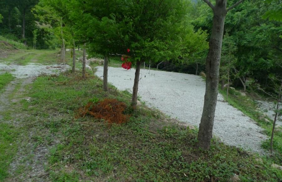존제산하느제캠핑장 이미지