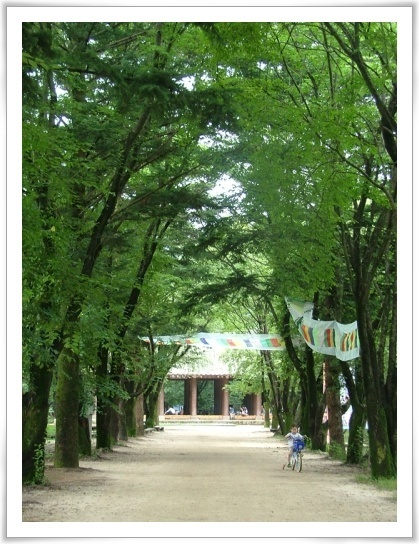 꽃빛바느질 이미지