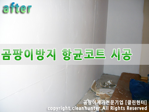 곰팡이헌터 이미지