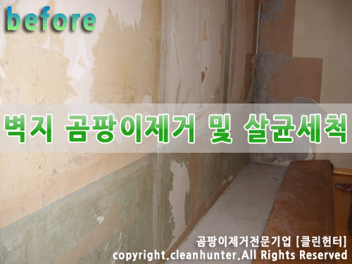 곰팡이헌터 이미지