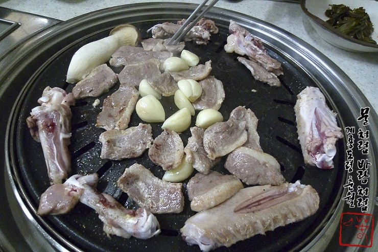 싱싱오리 이미지