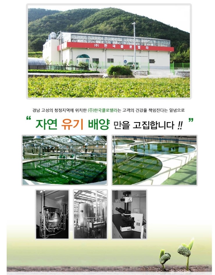 한국클로렐라 이미지