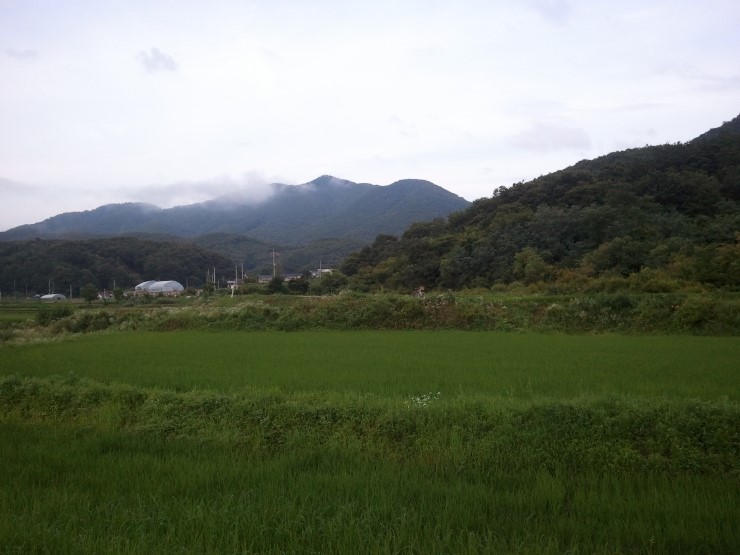 운학골 이미지