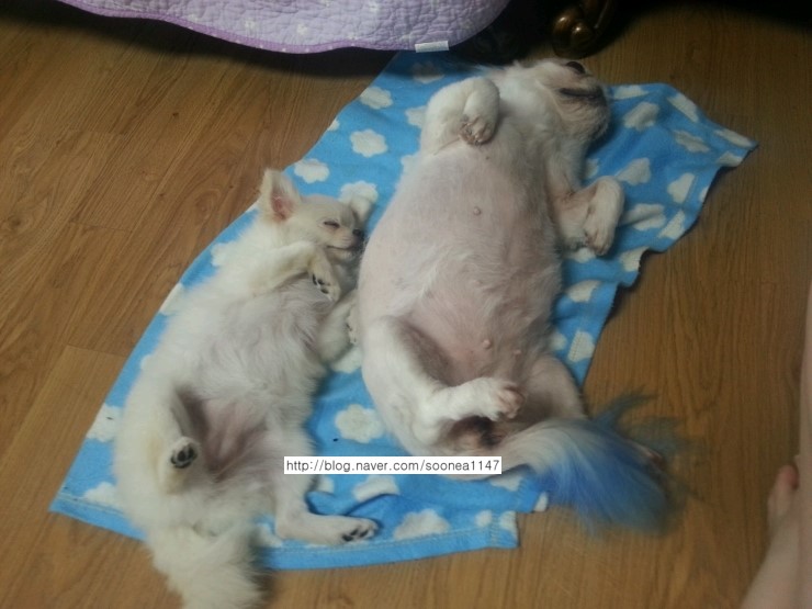 공주옷공방 이미지