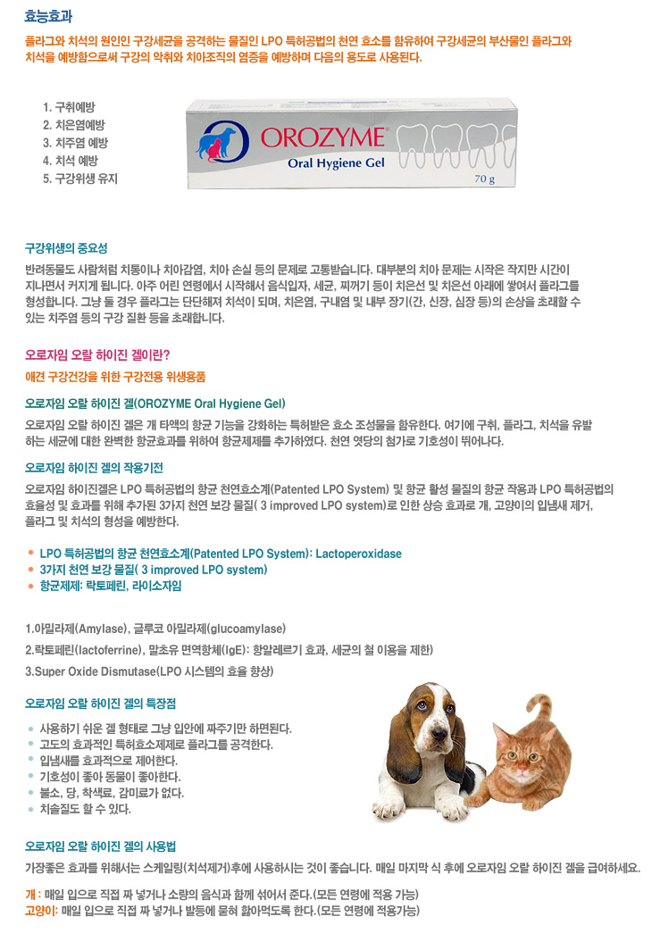하이진 이미지