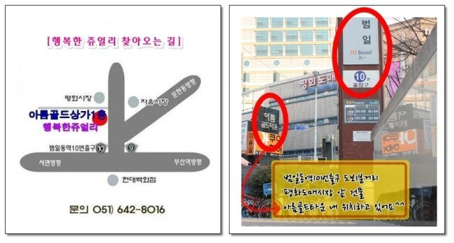 성림패션 이미지