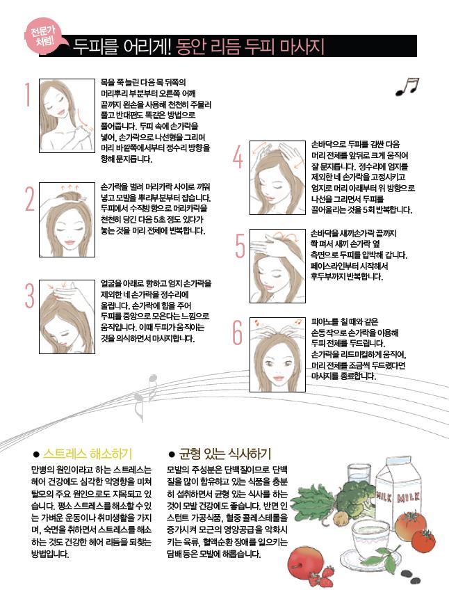 헤어라이 이미지
