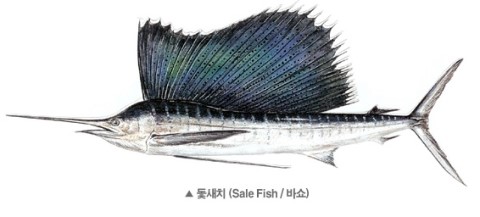안참치 이미지