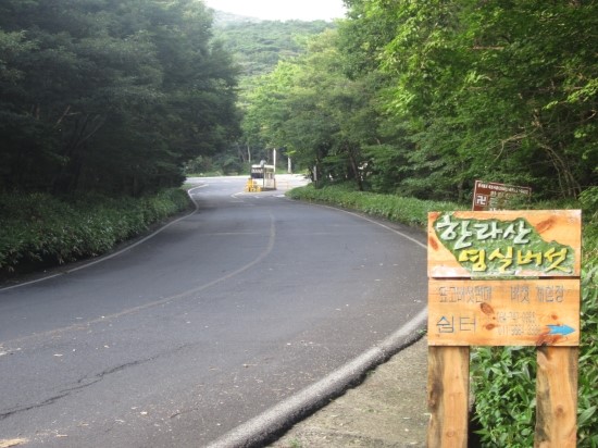 제주영실 표고버섯 이미지