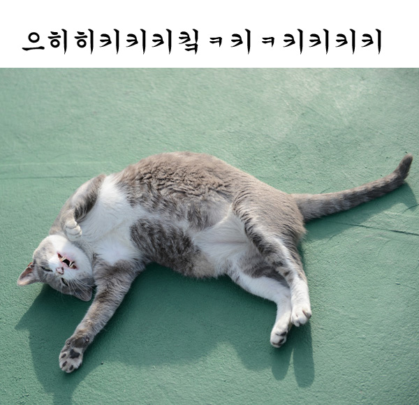 키키키키 이미지