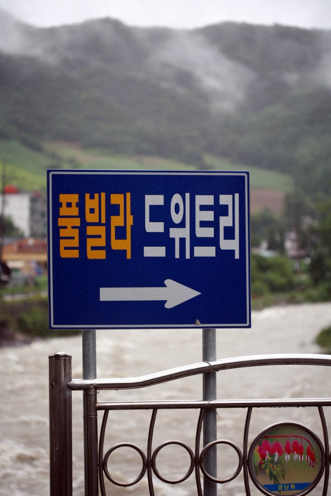 강원도 정선 풀빌라 펜션 드위트리 다녀왔습니다. : 네이버 블로그