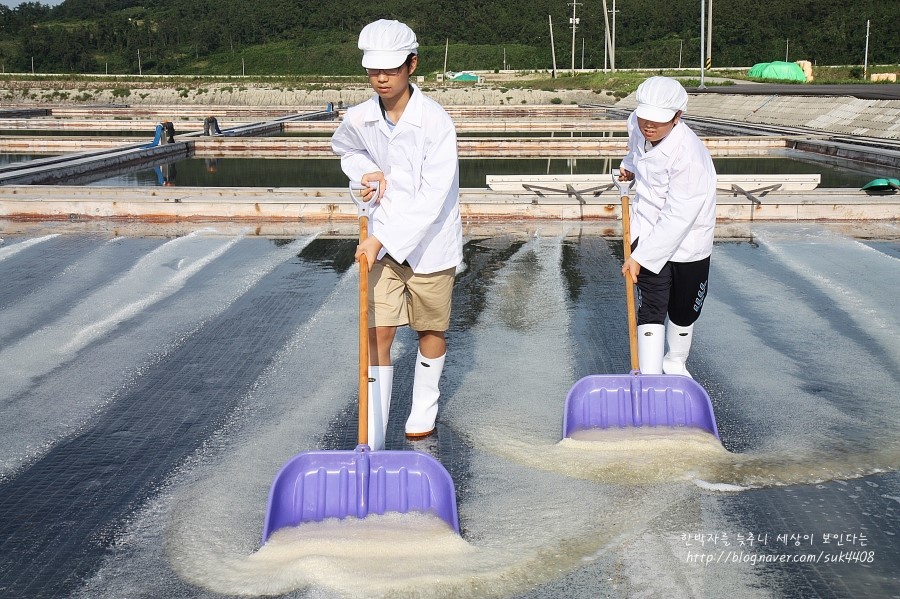 칠산식품 이미지