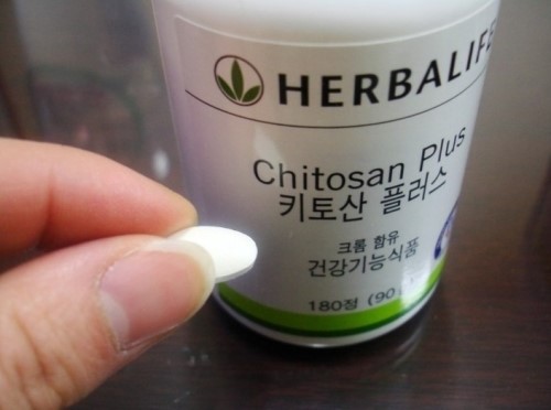 영양주는코치들 이미지