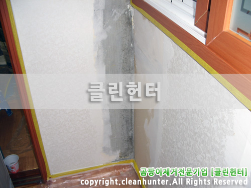 곰팡이헌터 이미지