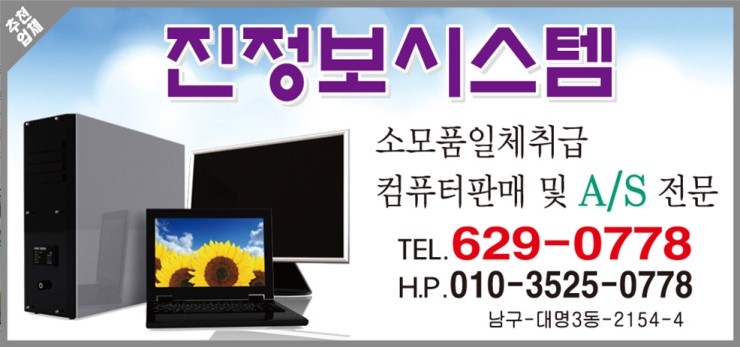 진정보시스템 이미지