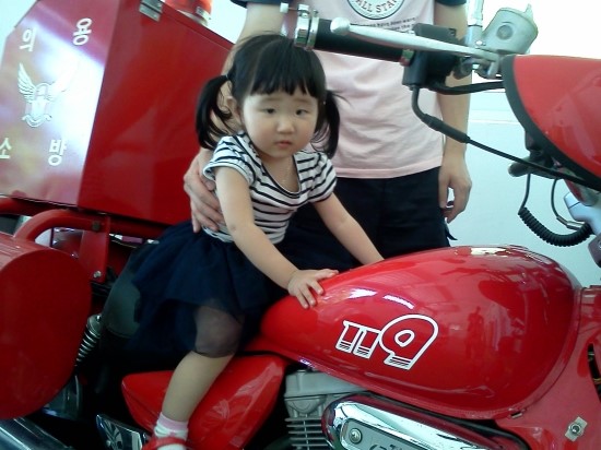 덕순홍 이미지