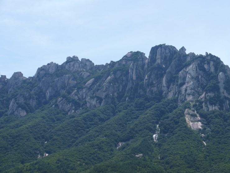 영금식당 이미지