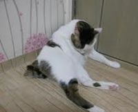 법인나라원예 이미지
