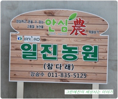 일진농원 이미지