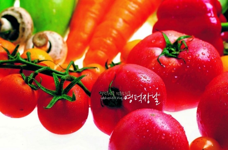 수박pc 이미지