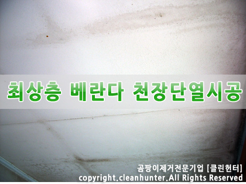 곰팡이헌터 이미지