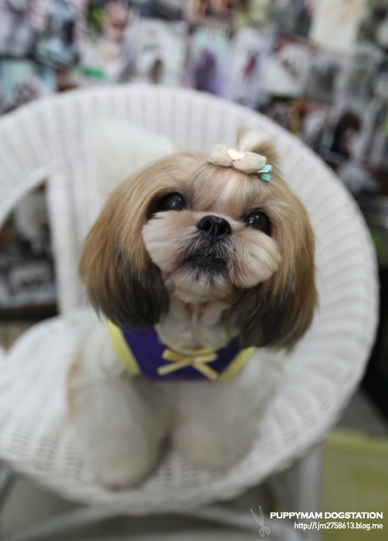 예라 이미지
