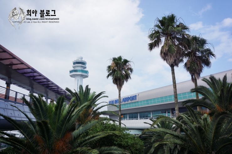 제주스쿠터타잰바이크 이미지