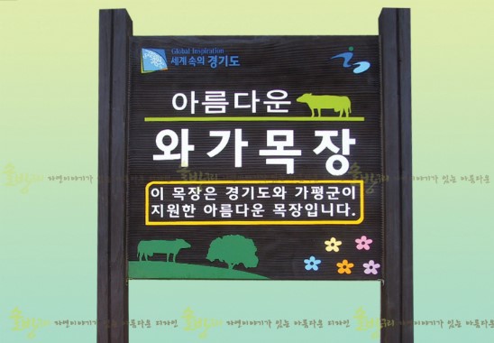 와가 이미지