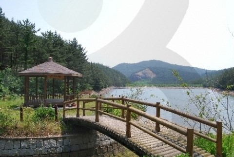 국립희리산해송자연휴양림 이미지