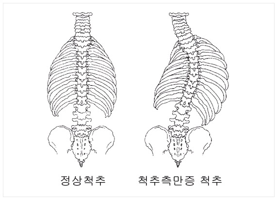 소리청자성당한의원 이미지