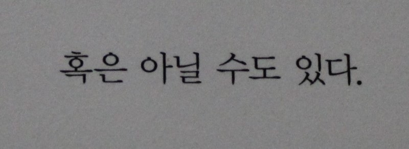꿈꾸는황소 이미지