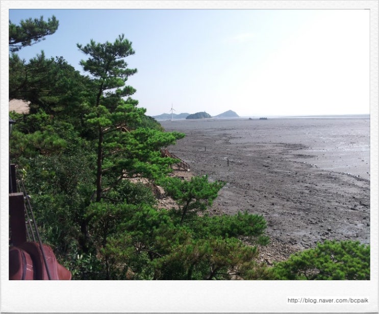 알리아마린 이미지