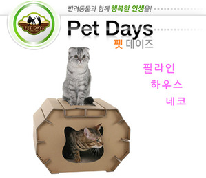 네코주 이미지