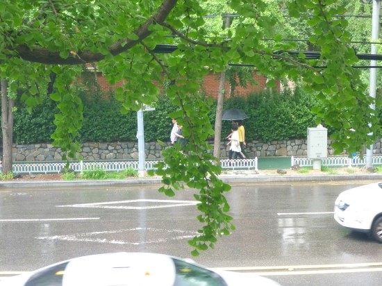동부키친라인 이미지