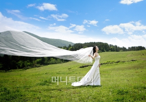 (주)특별자치도여행사 이미지