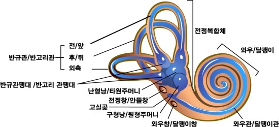 오대가한의원 이미지
