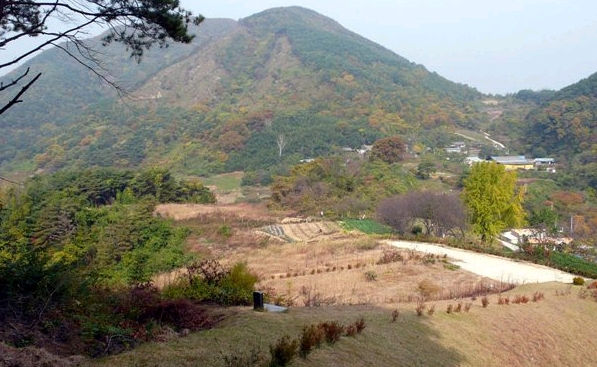 묵방산들국화 이미지