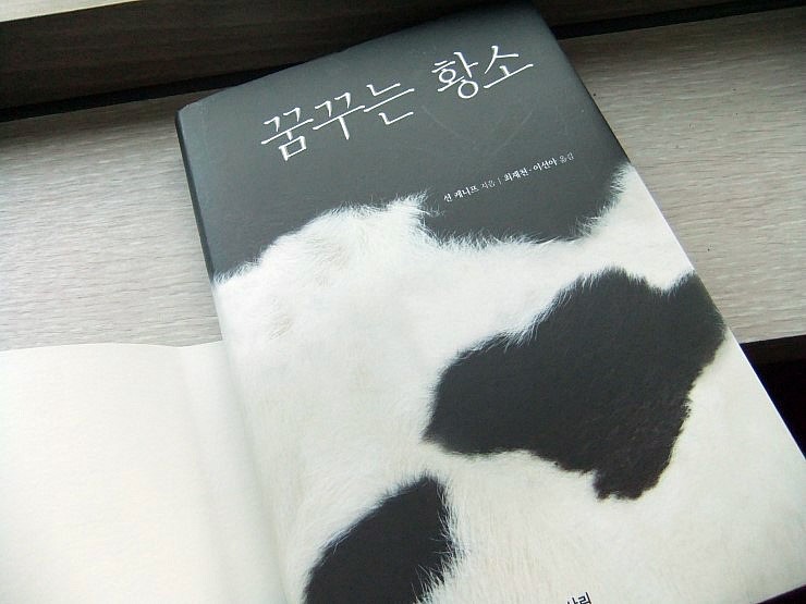 꿈꾸는황소 이미지