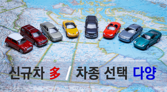 용원카써비스 이미지