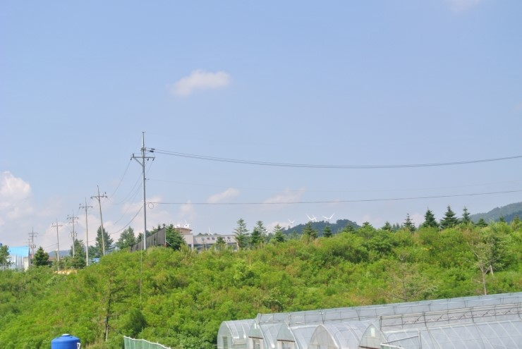 황계목장 이미지