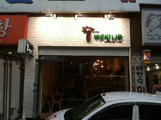 글로리 커피나무 이미지