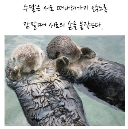 우정PC 이미지