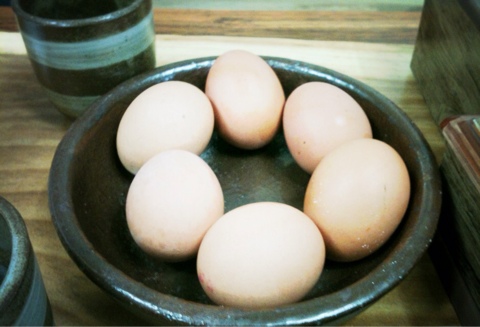 마디미국수 이미지