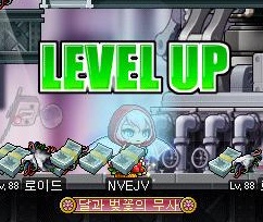 쿰헤어 이미지