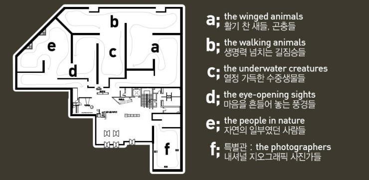내셔널지오그래픽 이미지