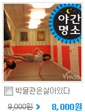 이조은관광 이미지