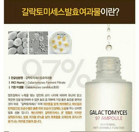 에스티제이 이미지