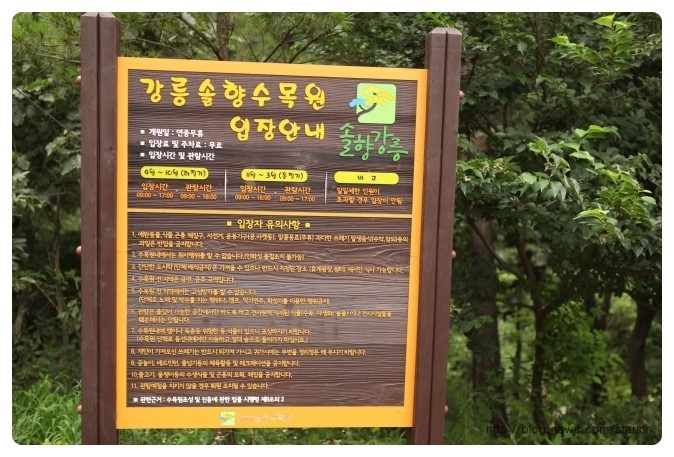 강릉솔향도시락 이미지