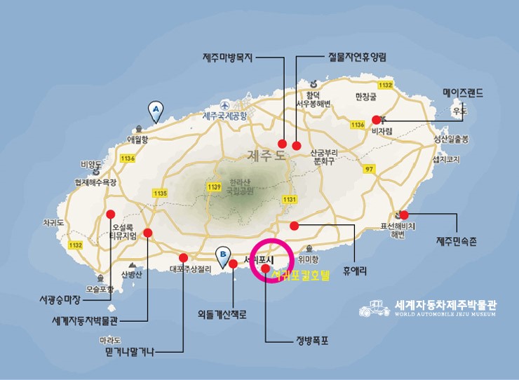 서광자동차랜드 이미지